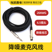 Rear Wave Instrumental Music Microphone Line Microphone Line Kannon Wire Canon Mother Mouth Connecting Line Sound Card Acoustics 6 35 Plug