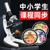 Microscope primary and secondary school students professional biology 1200 times optical childrens science small experiment set 10000 household