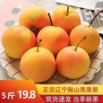 鞍山南果梨-鞍山南果梨促销价格、鞍山南果梨品牌- 淘宝