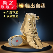 Self-sold gold silver jazz boots modern dance jazz dance shoes stage jazz boots performance dance shoes