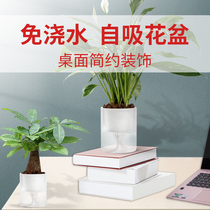 Green dill flower pot automatic water absorption lazy watering-free flower hydroponic utensils Transparent plastic plant self-water pot device