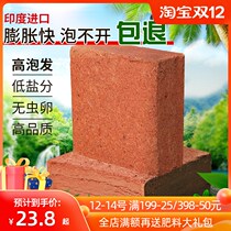 Import Coconut Broccoli Coconut broccoli Orchid native Nutritious Tue Brick Turtle Hibernation with Multi-Meat Chunks