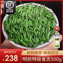 Nesttongue 2021 New Tea Authentic Guizhou Metan Cuizang Green Tea Bulk Tea in Green Tea Bulk Tea 500g
