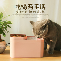 Ceramic bowl basin anti-fall cat water dispenser constant temperature safe heating small water drinking timing water heater multi-function
