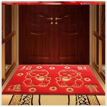 Door floor mat entrance mat outdoor waterproof non-slip plastic carpet door mat silk ring mat home customization