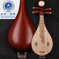 Xinghai Liuqin musical instrument professional performance sour branch Willow Qin Aos sandalwood copper fine-tuning Liuqin 8414