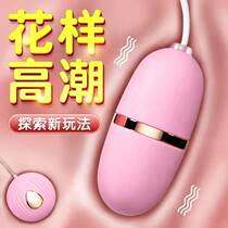 Lady Small Massage Stick Instrumental Electric Wireless Home Body Private Place Mute Vibration Instrument Handheld Vibration God