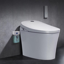 Jiumu intelligent toilet 7203 living water since one-button automatic warm air drying off seat scouring seat seat heating
