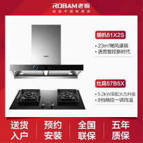 Boss kitchen appliances suction range hood gas stove set set fashion beautiful atmosphere range hood stove size