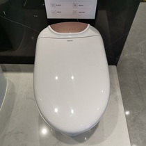 ssww whale whale fully automatic intelligent integrated hot drying toilet IC0-522