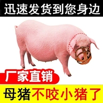 Sow anti-bite sleeve Pig mouth piglets artifact Pig with horse cow and sheep mouth cover Mouth cover to protect eating head cover Pig cage