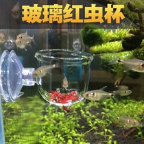 White cylinder glass feeder Lamp fish red worm cup feeding cup Shrimp cylinder grass cylinder nematode fish food feed