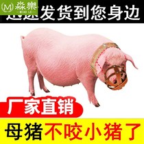Porcine mouth set sow anti-bite set pig mouth set pig mouth sleeve pig mouth sleeve pig crate sow pig mouth cage sow cattle sheep dog horse