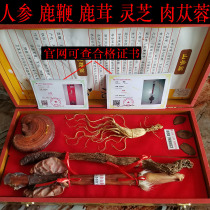 Jilin plum deer whip ginseng dry whole root male kidney conditioning bubble soup gift box gift tonic tonic