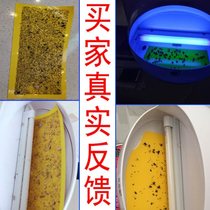 Flies paste fly paper sticky fly paper sticky fly-extinguishing lamp sticky paper stickers special sticky insect board mosquito repellent lamp sticky paper lure