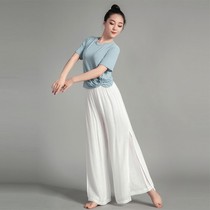 National Day 11 new classical dance Latin Dance Dance Dance Performance new modern dance clothes slim body slim practice clothes