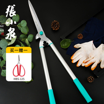 Zhang Xiaoquan branch scissors gardening scissors stainless steel lawn scissors flower bed pruning tools scissors branch hedge big scissors