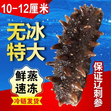 乾燥海参、大連特産 海参 47g 海産物 乾燥ナマコ47g入り - メルカリ
