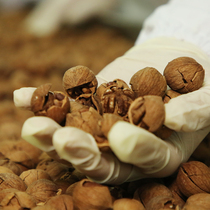 New big seed Linan hand peeling pecans net weight 500g small walnut wild walnut nut pregnant snack