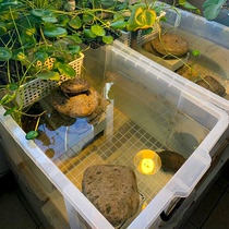 Rectangular plastic thick storage box book data storage box transparent large turtle tank turtle box