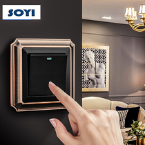  soyi86 type concealed one-open five-hole socket panel multi-control household retro Chinese Nordic Bronze switch socket