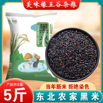  2020 Northeast black rice 5 kg Heilongjiang farm black fragrant rice non-dyed black rice Black fragrant rice porridge five grains