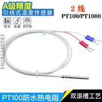 XS two-wire PT100 thermal resistance temperature sensor platinum thermal resistance Germany Heraeus 2 wire PT1000