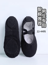 Boys' Dance Shoes Black Children's Summer Ballet Shoes Kindergarten Performance Black Shoes Girls Soft Solder Training Shoes