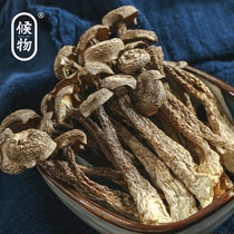 Waiting deer antler mushroom dry goods premium deer antler mushroom 500g New goods selected root cutting no crushing no sulfur edible mushroom mushroom