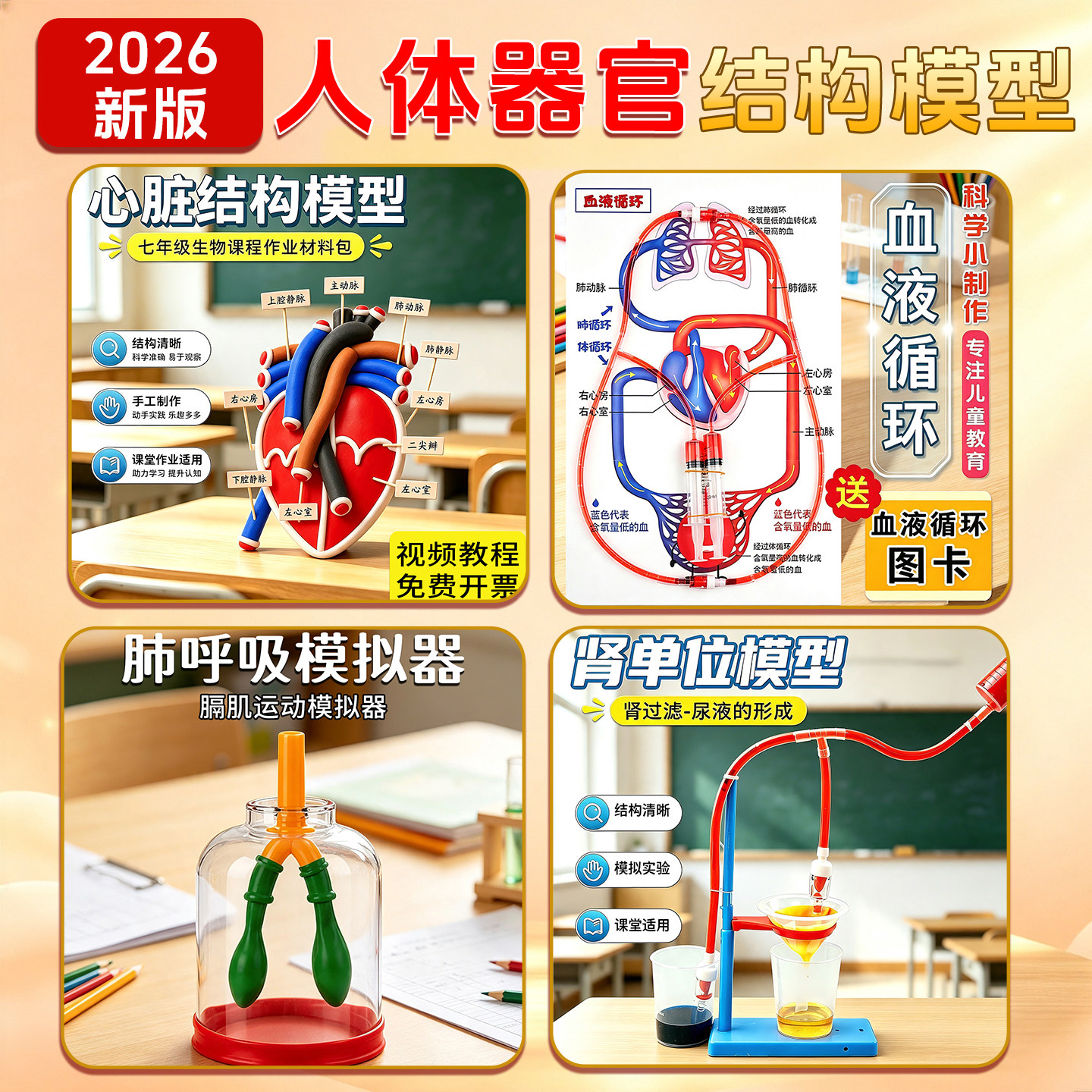人体循环系统模型教具-人体循环系统模型教具促销价格、人体循环系统