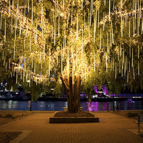 Meteor shower led colorful lights flashing lights string lights starry sky outdoor waterproof lighting decoration Tree hanging light show