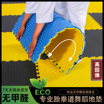 Taekwondo mat professional floor mat fighting foam mat 1 m thick Hall mat boxing dance street dance Special