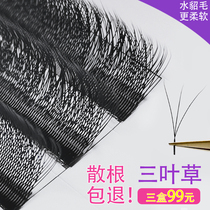0 05 Clover Eyelash Meiyu Shop Special Y-grafted eyelash soft hair thick curl w eyelash Japanese-style beauty