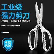 Household large kitchen scissors Strong chicken bone meat bone scissors Gold stainless steel industrial grade short mouth 304 Germany