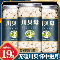 The official flagship store of authentic fritillary bulb powder is not 500 grams of Sichuan wild dried fritillary bulb