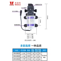 Water purifier self-priming pump Booster pump Large suction small mini household pump 12V high pressure power automatic