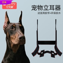 Pet erect dog ear correction artifact horse dog Doberman herd Black Wolf Dubin special pup ear patch