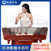 Xinghai dulcimer musical instrument African rosewood flat carving Tenglong professional performance 402 dulcimer Yangqin live