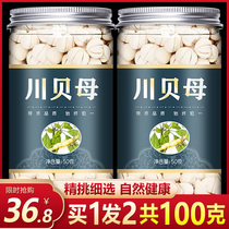 Super-grade Sichuan Fritillaria Chuanbei powder Tibetan traditional Chinese medicine loquat cream tangerine peel Sichuan wild pine shellfish flat fritillary pine green shellfish 500g