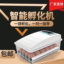 Incubator small household water bed incubator smart egg incubator mini incubator pigeon small egg incubator