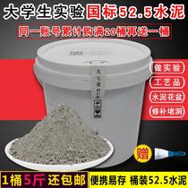 Cement Silicate po52 5 Experiment High Label 525 Waterproof Loophole Quick Hard Early Strong Speed Dry Cement Bucket