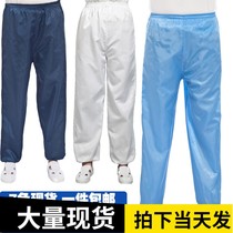 QCFH anti-static pants dust-free suit split suit blue factory dust-proof clean work clothes for men and women w