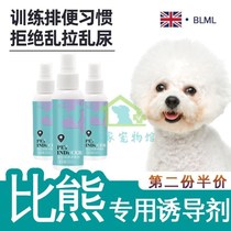 More than a bear special training to guide the small dog positioning inducers to relieve themselves such as a toilet mess urinating urine and defecation