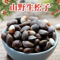 Raw pine nuts Yunnan Mountain growth pine nuts do not open fresh original hand peeled bulk pregnant women nut snacks