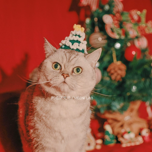 Оригинальная милая плетеная вязаная шапка ручной работы, шерстяной аксессуар