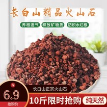 Red volcanic rock particles volcanic rock orchid fleshy nutrient soil pavement soil blue stone aquarium aquarium bottom