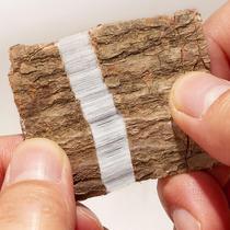 Eucommia ulmoides Chinese herbal medicine tea non-grade wild powder tablets Parhalberd eucommia ulmoides bark leaf soup male flower brewing wine Tea