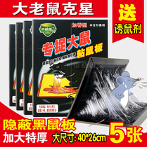 Sticky mouse board strong glue big mouse home super strong increase mouse sticky strong sticky mouse board mouse sticker