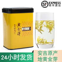 Anji white tea authentic golden Bud Mingqian premium 2021 Spring Tea New Tea 50g canned alpine origin white tea