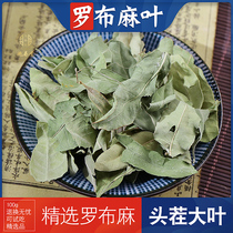 100g apocynum leaf Chinese medicinal materials Xinjiang apocynum leaf tea non-wild fresh and sulfur-free apocynum